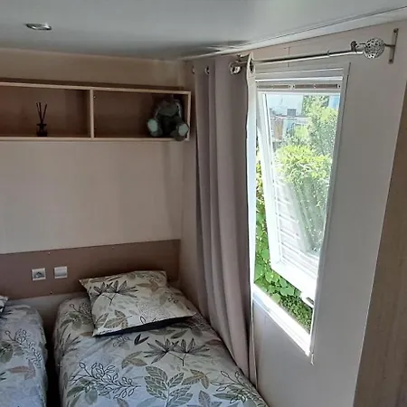 Le Pluvier Des Fougeres *