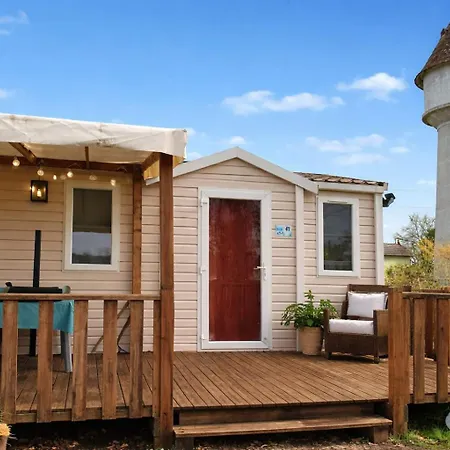 Le Pluvier Des Fougeres *