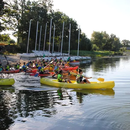 Le Pluvier Des Fougeres *