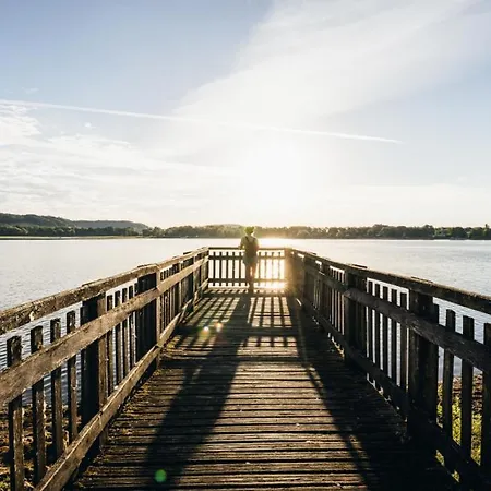 Le Pluvier Des Fougères Villegusien-le-Lac