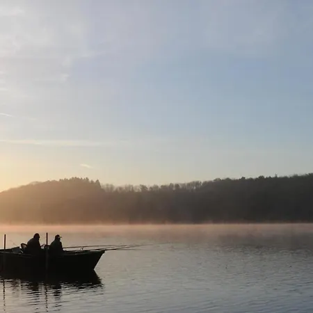 Le Pluvier Des Fougeres * Villegusien-le-Lac