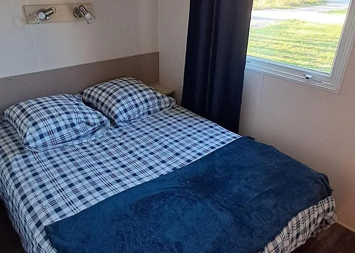 Le Pluvier Des Fougeres *