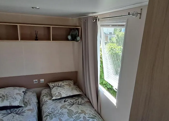 Le Pluvier Des Fougeres *