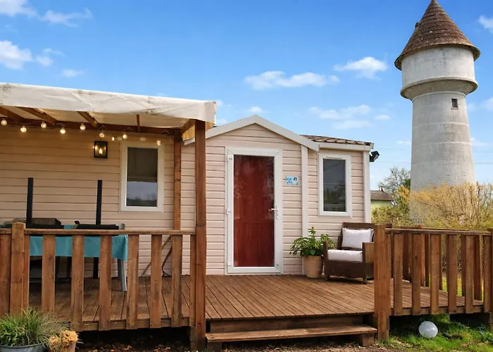 Le Pluvier Des Fougeres *