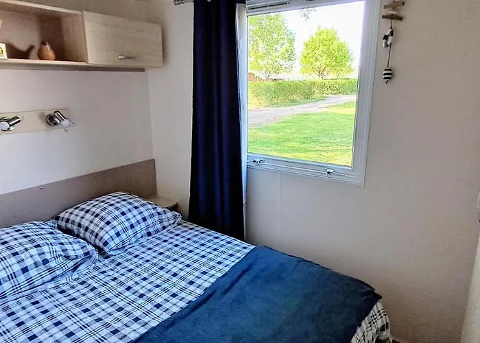 Le Pluvier Des Fougeres * Villegusien-le-Lac