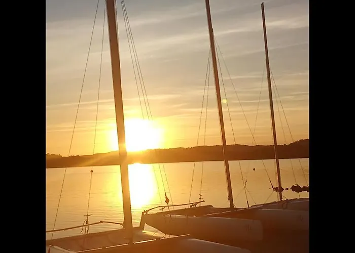 Le Pluvier Des Fougeres *