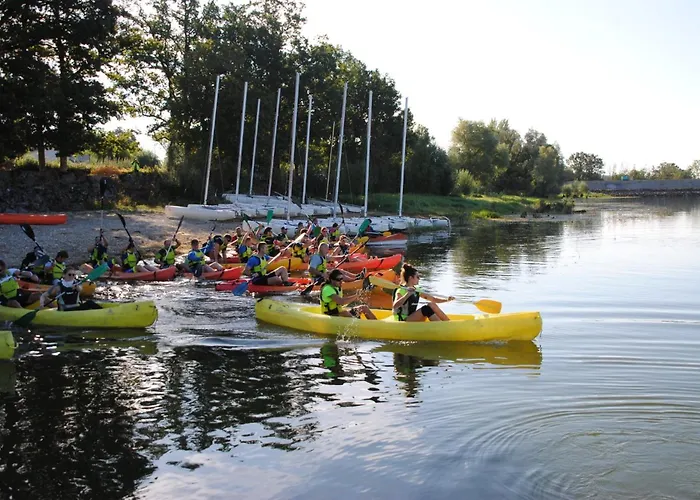 Le Pluvier Des Fougeres *