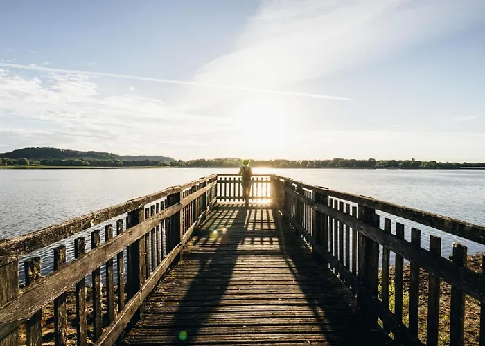 Le Pluvier Des Fougeres Villegusien-le-Lac