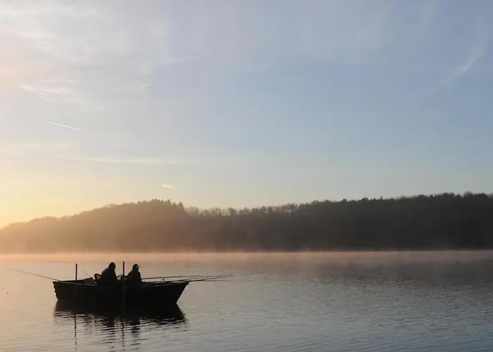Le Pluvier Des Fougeres * Villegusien-le-Lac